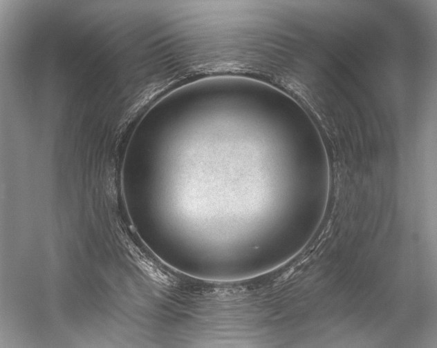 X0000059820345200510211152