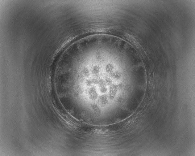 X0000059820346200510211152