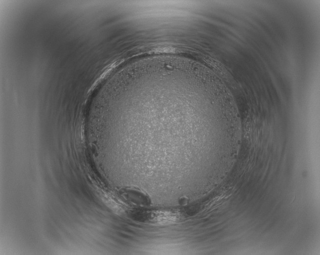 X0000059820347200510211152