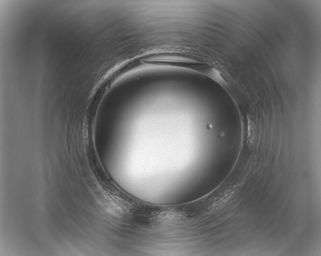 X0000059820348200510211152