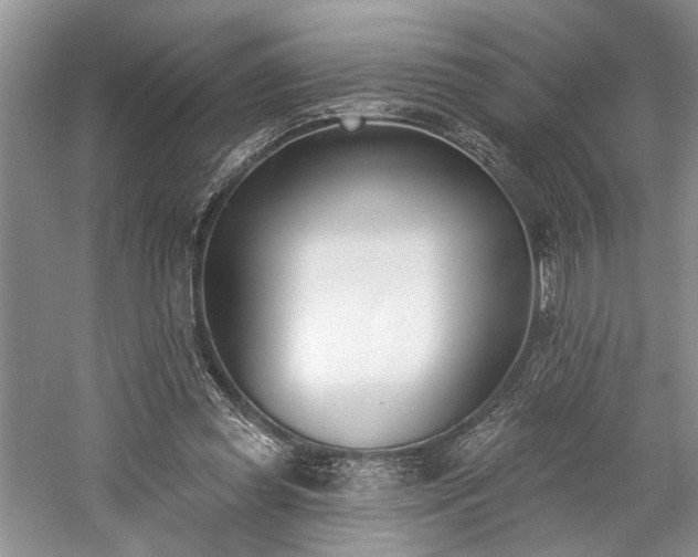 X0000059820349200510211152