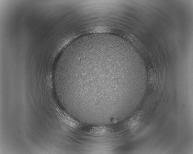 X0000059820351200510211152