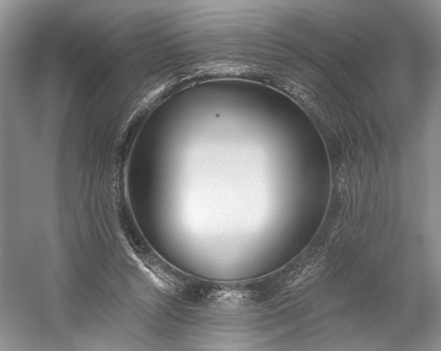 X0000059820352200510211152