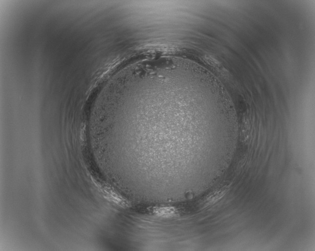 X0000059820355200510211152