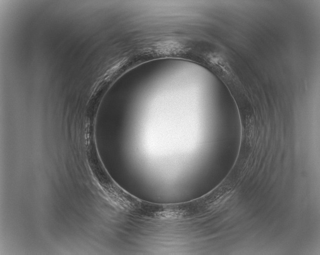 X0000059820356200510211153