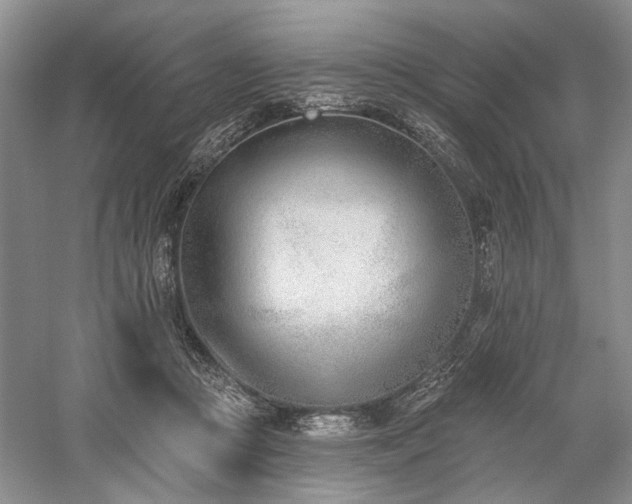 X0000059820361200510211153