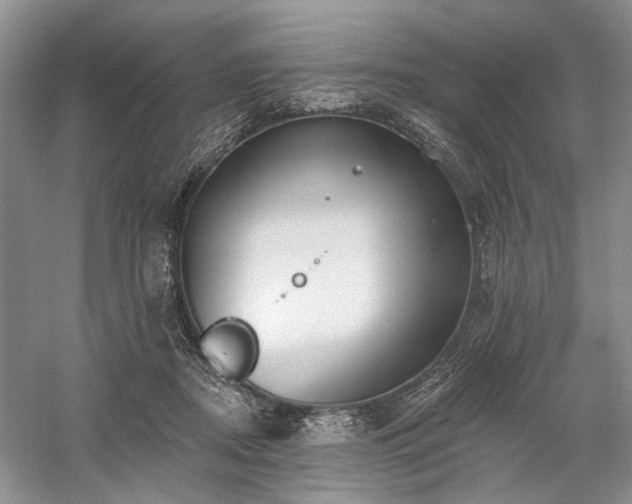 X0000059820362200510211153