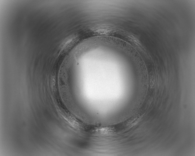 X0000059820365200510211153