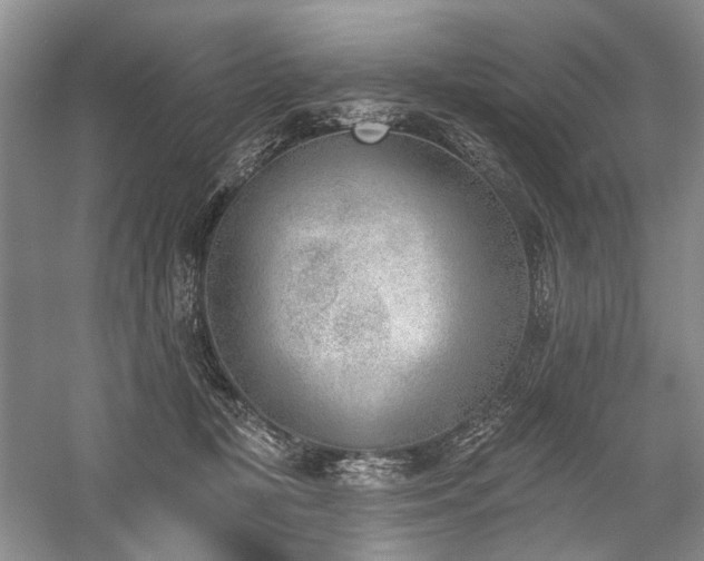 X0000059820367200510211153