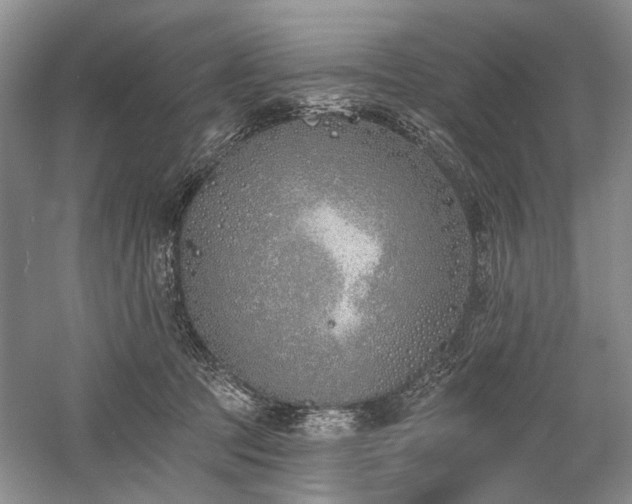 X0000059820369200510211153