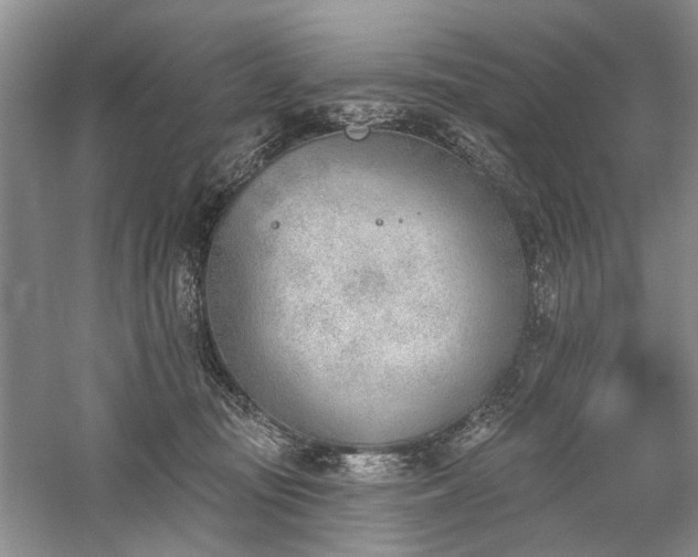 X0000059820371200510211153