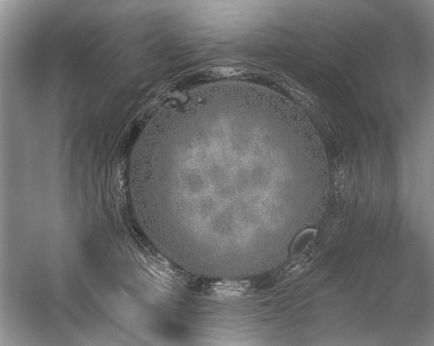 X0000059820373200510211153