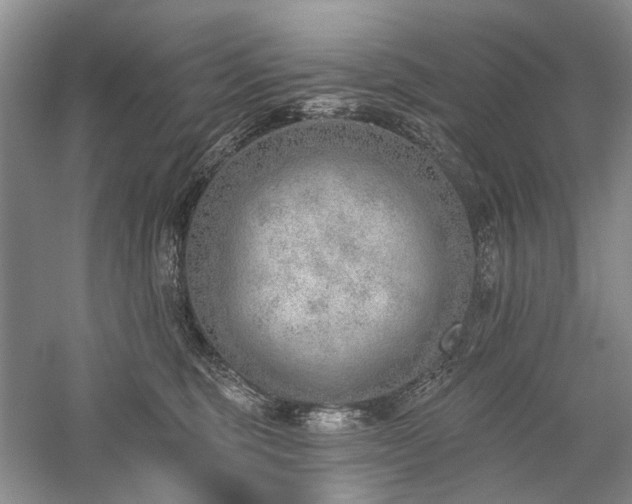 X0000059820375200510211153