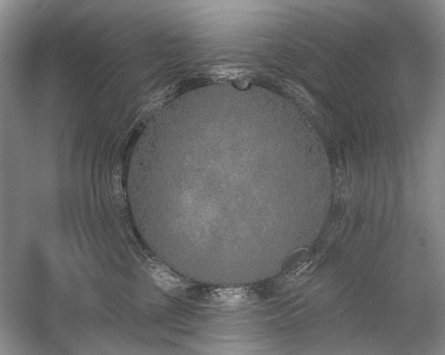 X0000059820377200510211153