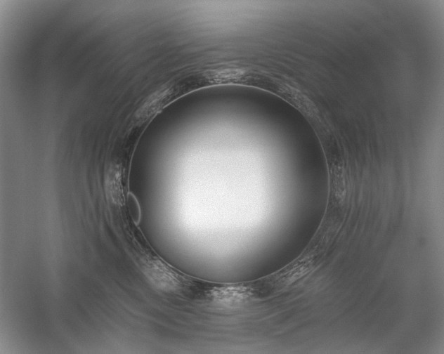 X0000059820378200510211153