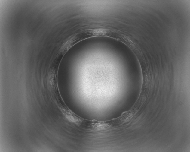 X0000059820379200510211153