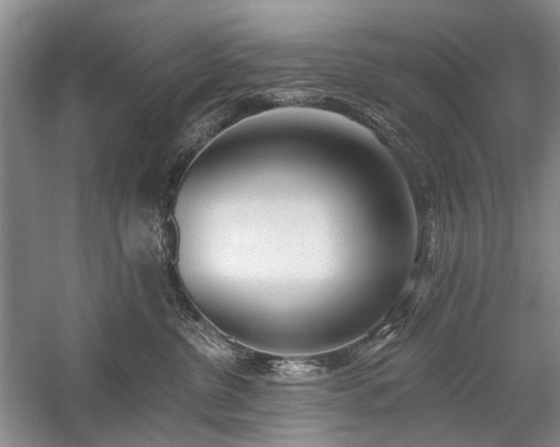 X0000059820380200510211153