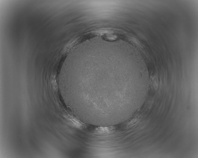 X0000059820381200510211153