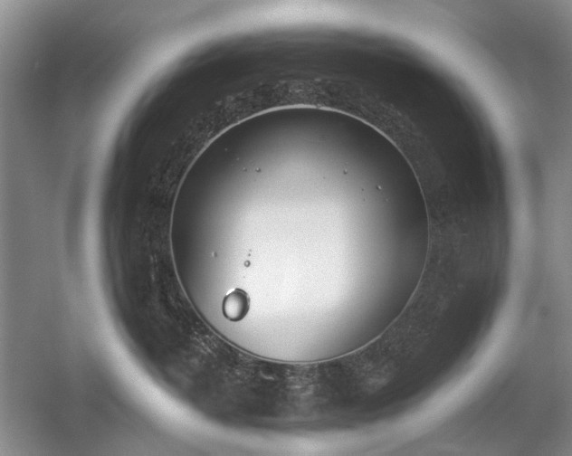 X0000059820382200510211153