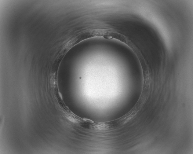 X0000059820383200510211153