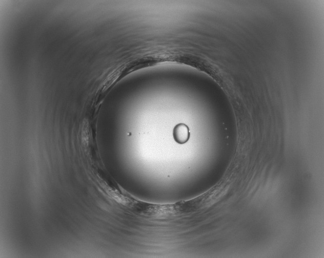 X0000059820384200510211153