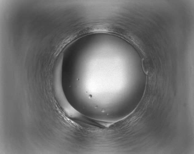 X0000059820385200510211152