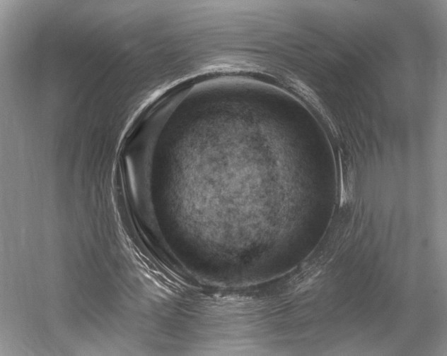 X0000059820387200510211152