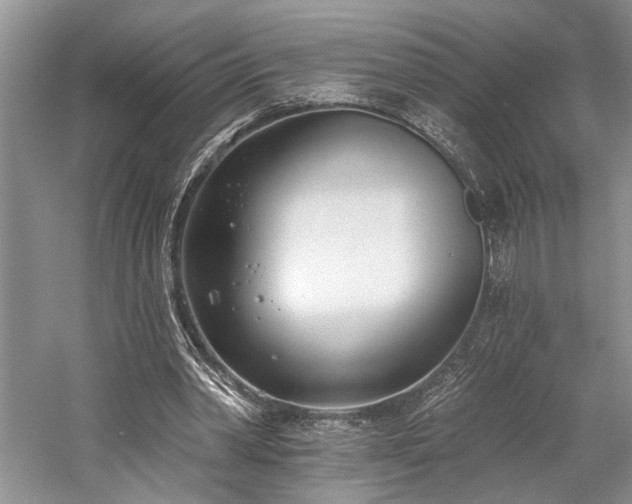 X0000059820390200510211152