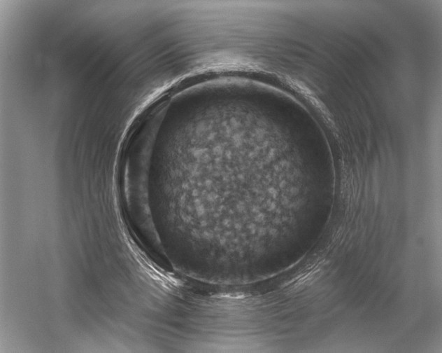 X0000059820391200510211152