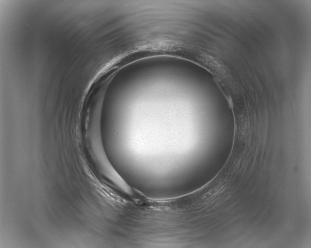 X0000059820392200510211152