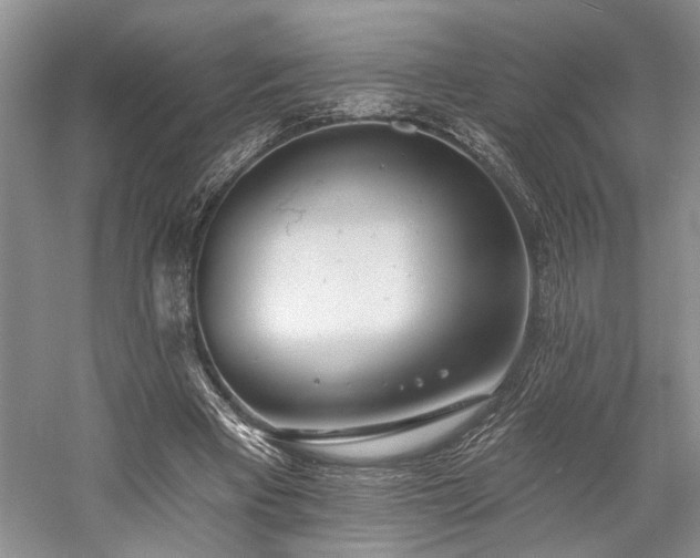 X0000059820393200510211152