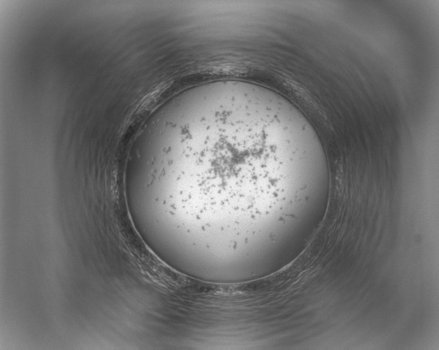 X0000059820403200510211152