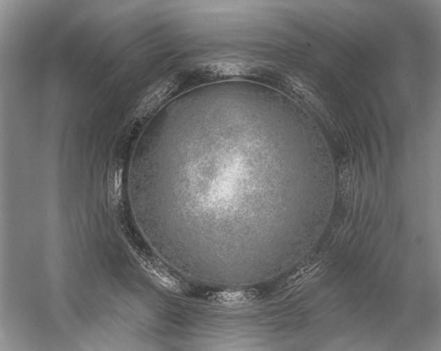 X0000059820406200510211152