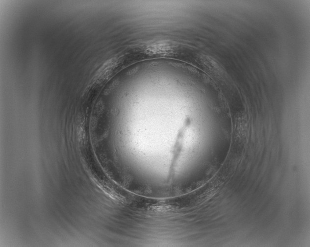 X0000059820408200510211152