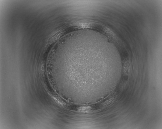 X0000059820410200510211152