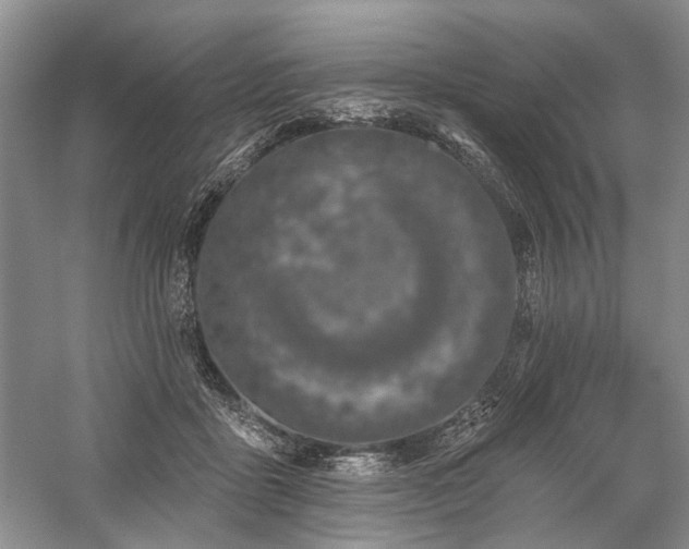 X0000059820411200510211152