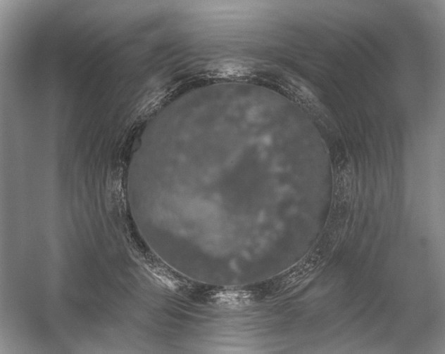 X0000059820415200510211152