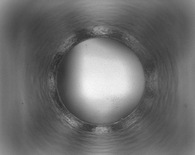 X0000059820418200510211152