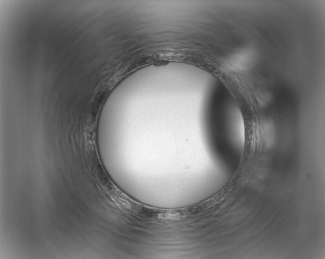 X0000059820419200510211152