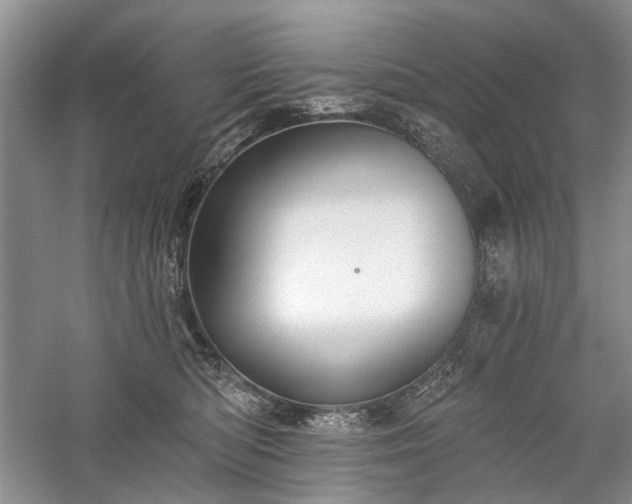 X0000059820422200510211152