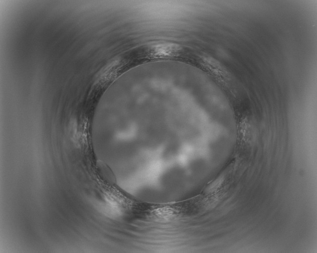 X0000059820423200510211152