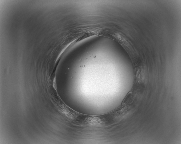 X0000059820424200510211152