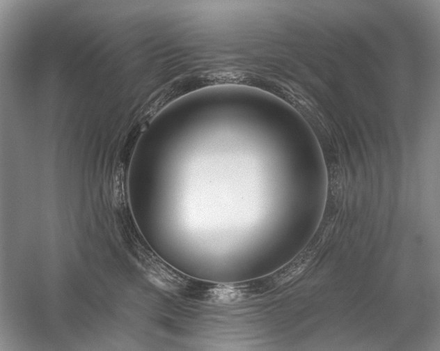 X0000059820425200510211151