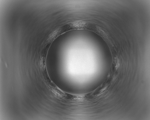 X0000059820428200510211151