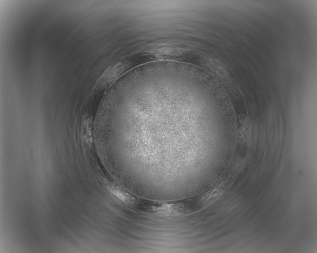 X0000059820430200510211151