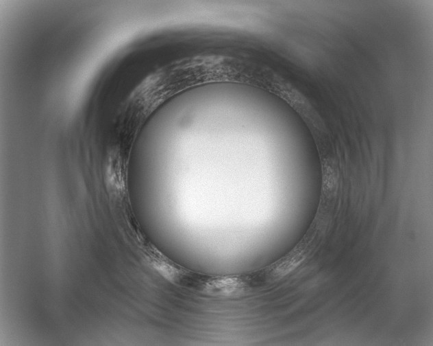 X0000059820431200510211151