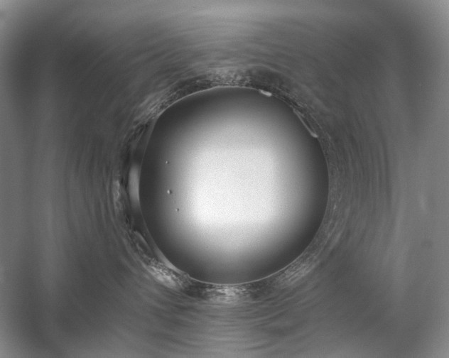 X0000059820432200510211151