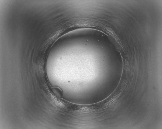 X0000059820441200510211151