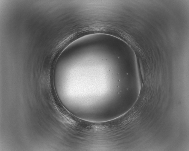 X0000059820442200510211151