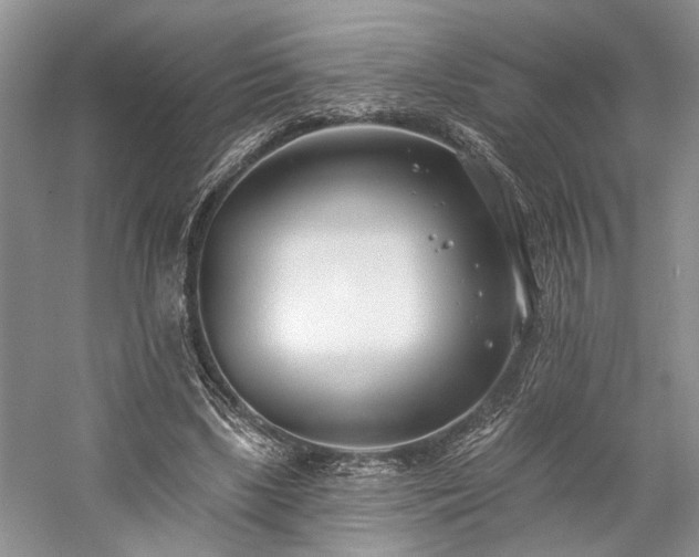 X0000059820443200510211151